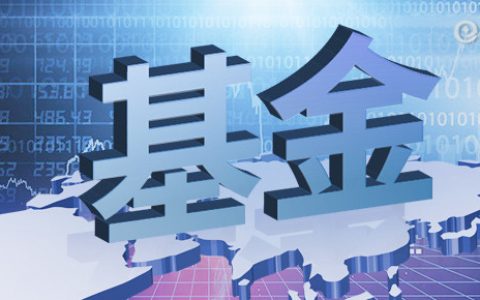每日领头羊股票